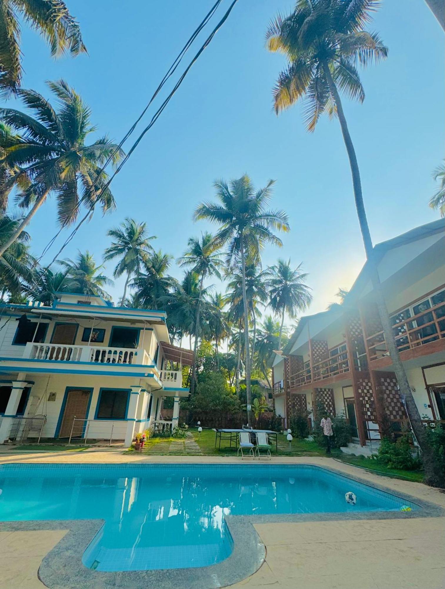 White Turtle Hotel Morjim Ngoại thất bức ảnh